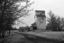 photograph of wooden grain elevator at Bardo, Alberta