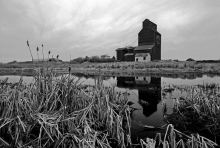 photograph of wooden grain elevator at Kingman, Alberta