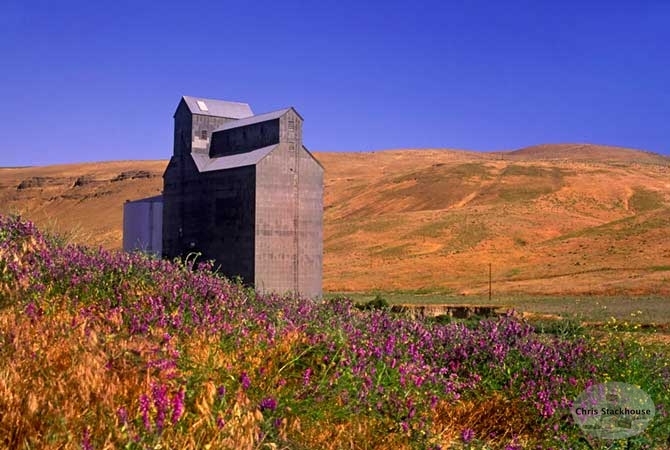 Wooden Elevator at Delaney, Washington. "Prairie Drama"