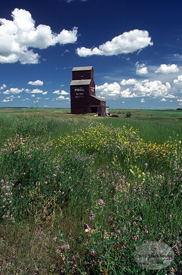 Image of Bents Elevator, SK. "Natures Canvas"