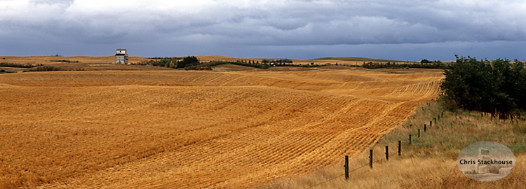 Farm elevator east of Altario, Alberta