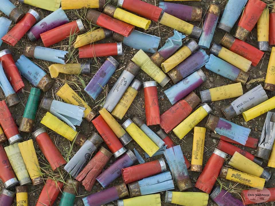 Shot gun shell casings